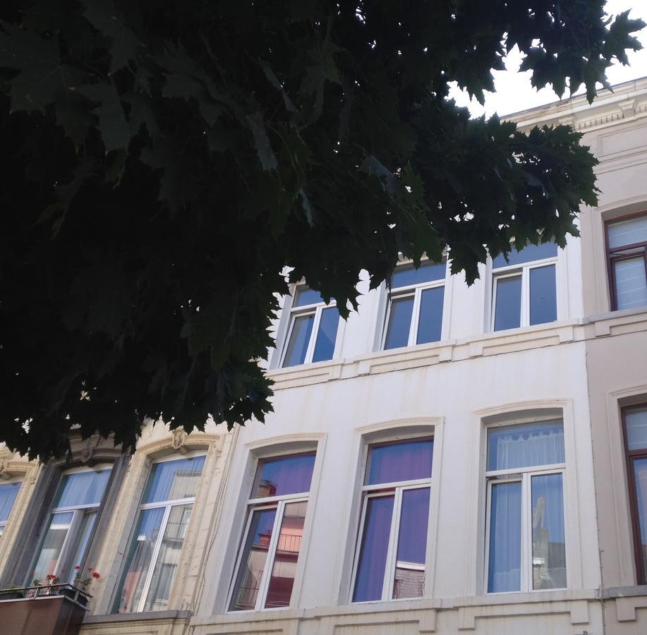 Villa 36 B&B — Photos 2